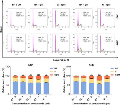 Synthesis and biological evaluation of novel benzothiazole derivatives as potential anticancer and antiinflammatory agents